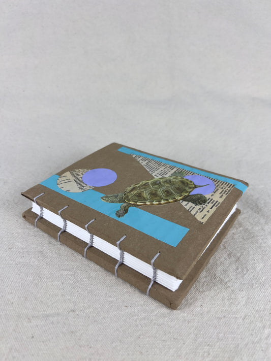 Terrapin Turtle Journal