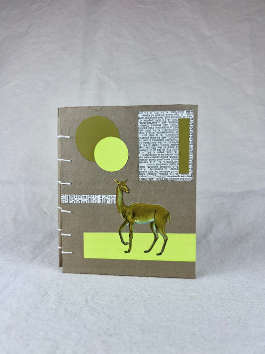 Early Camel Journal