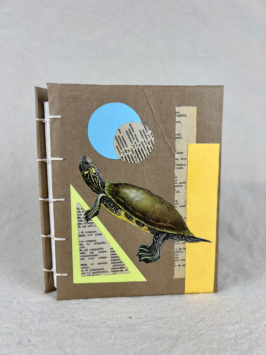 Peninsula Cooter Turtle Journal