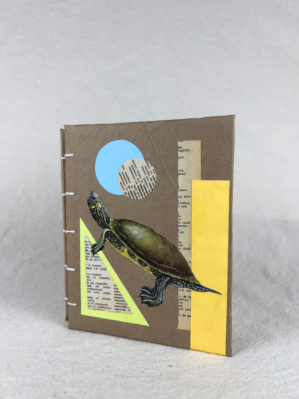 Peninsula Cooter Turtle Journal