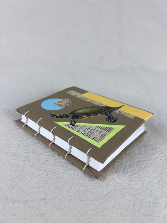 Peninsula Cooter Turtle Journal
