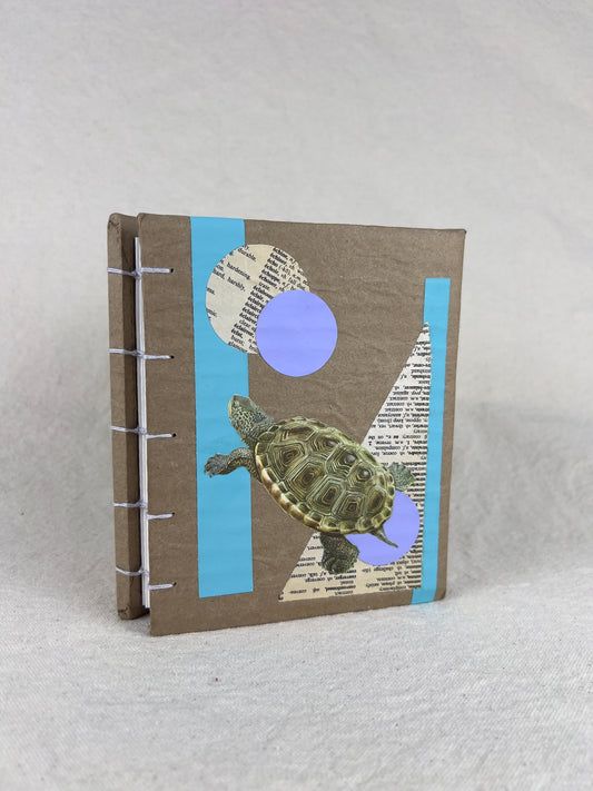 Terrapin Turtle Journal