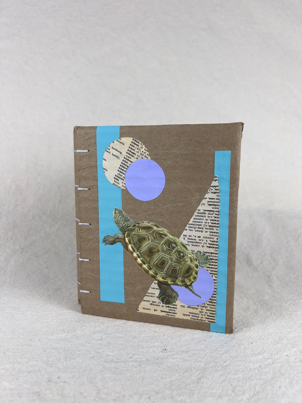 Terrapin Turtle Journal