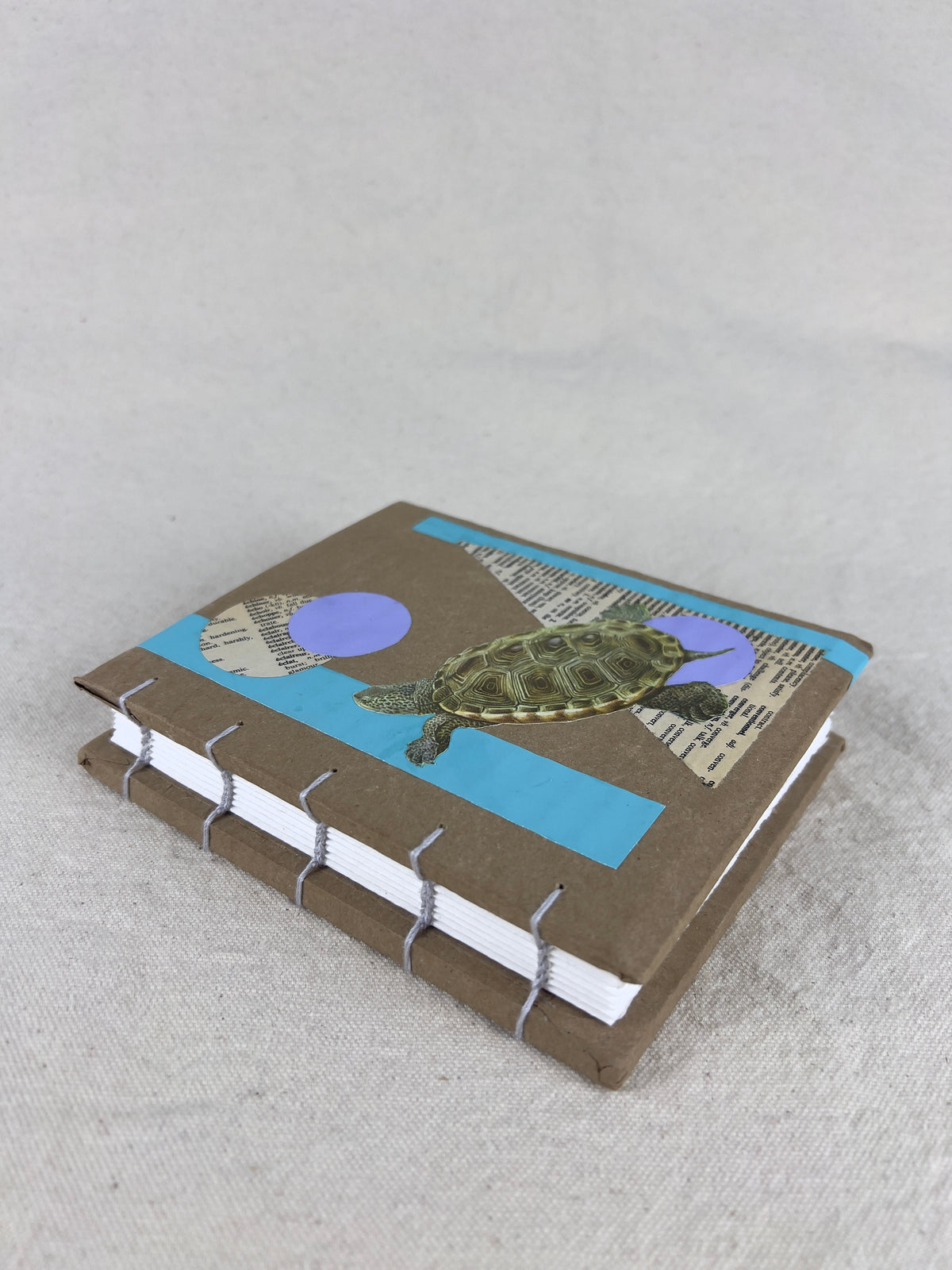 Terrapin Turtle Journal