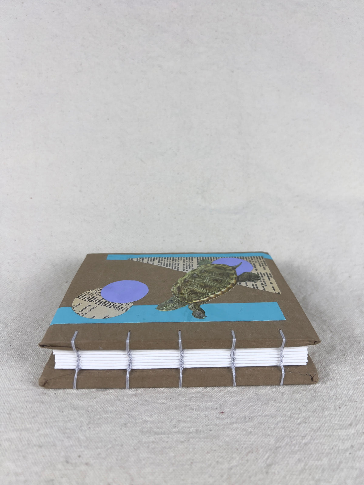 Terrapin Turtle Journal