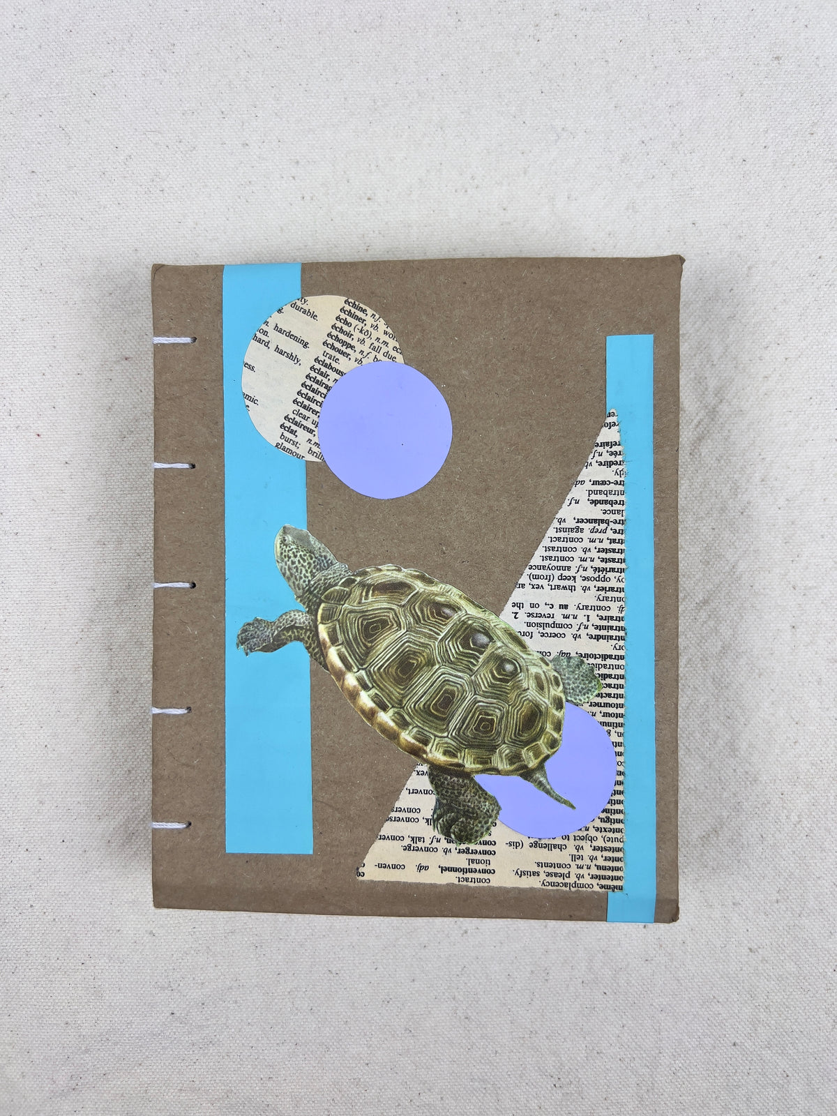 Terrapin Turtle Journal