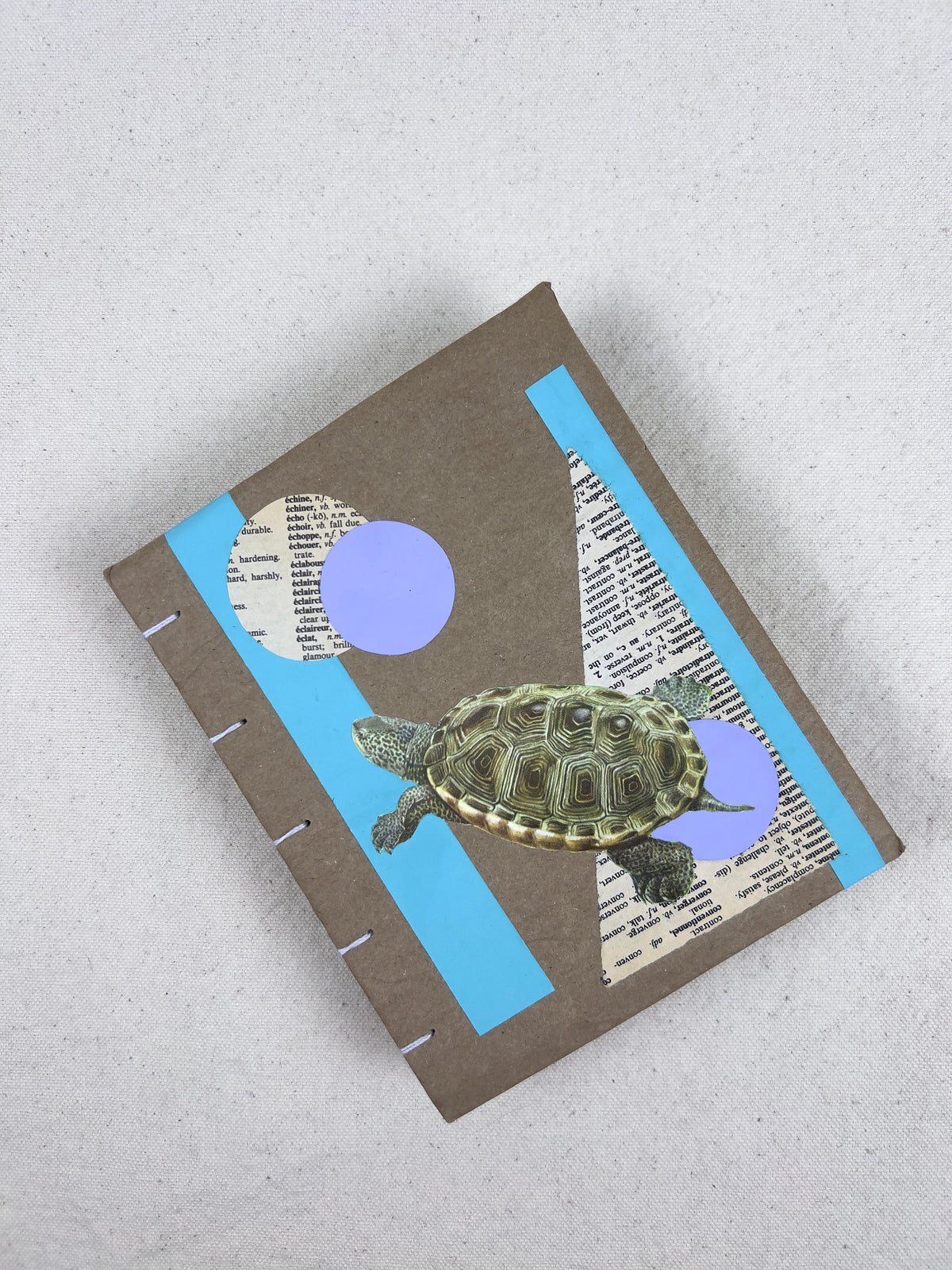 Terrapin Turtle Journal