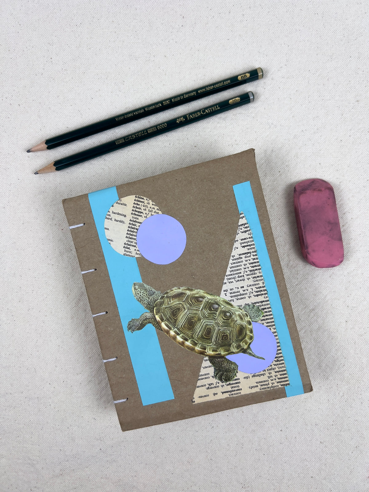 Terrapin Turtle Journal