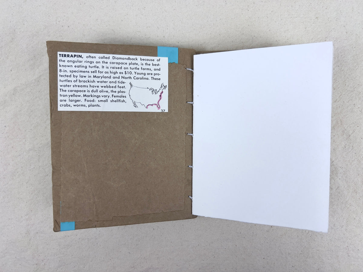 Terrapin Turtle Journal