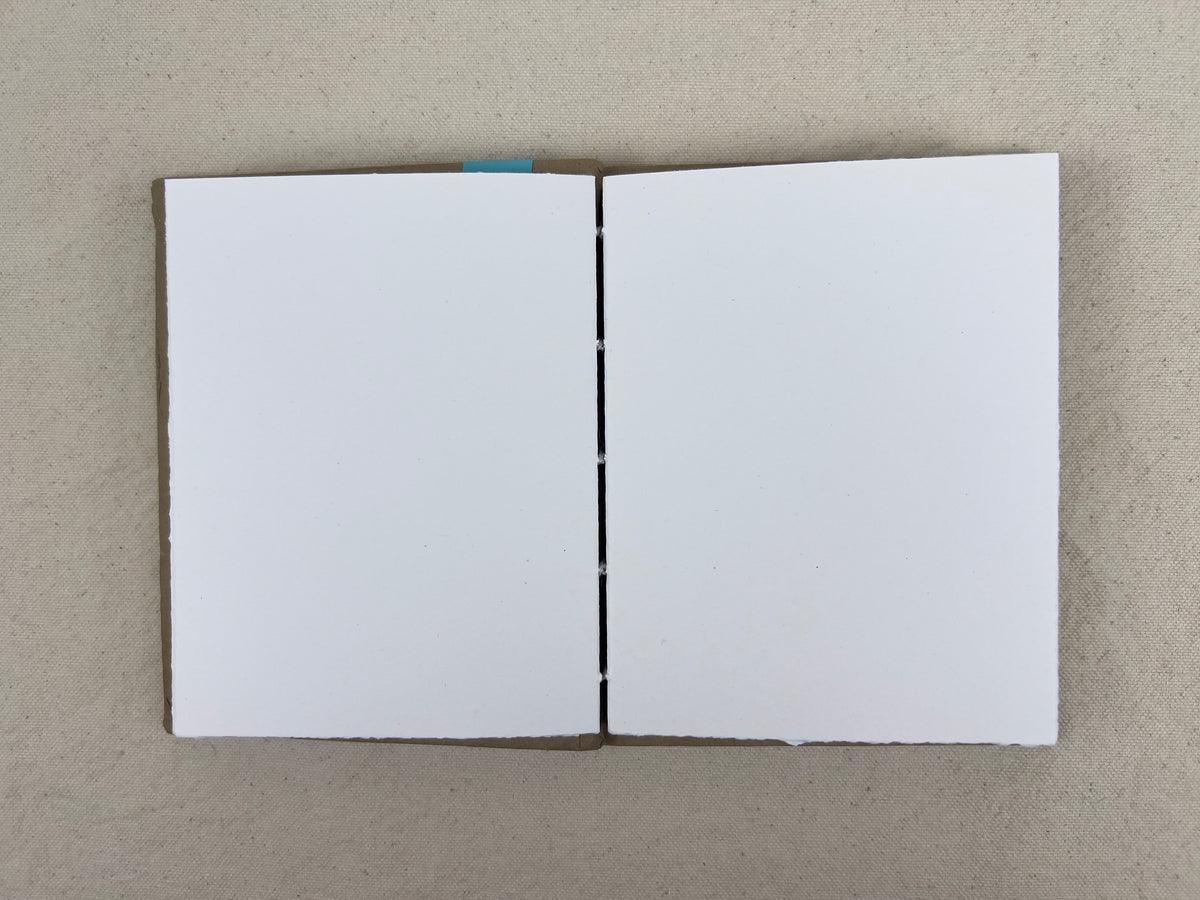 Terrapin Turtle Journal