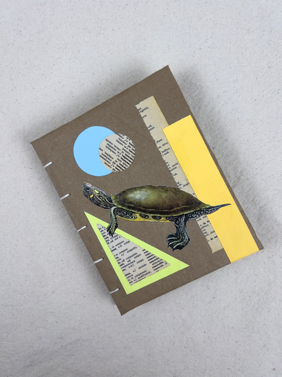 Peninsula Cooter Turtle Journal