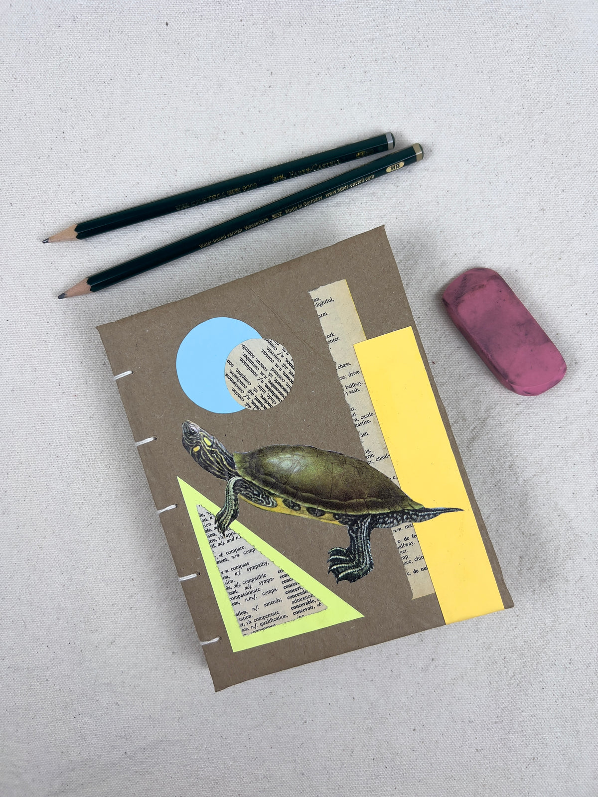 Peninsula Cooter Turtle Journal