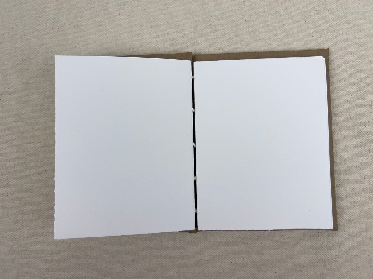Peninsula Cooter Turtle Journal