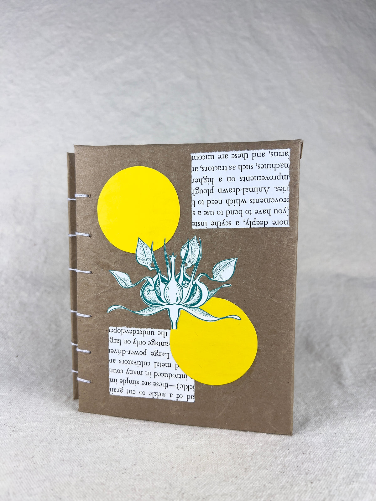 Botany Journal