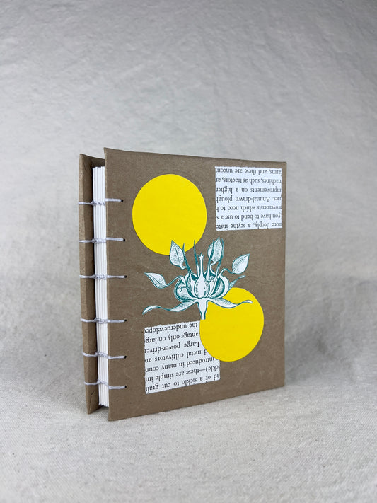Botany Journal