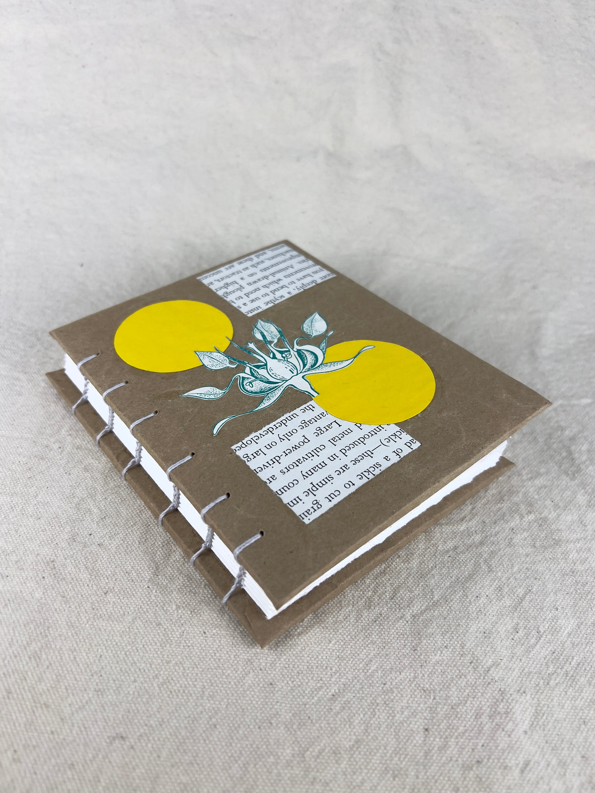 Botany Journal