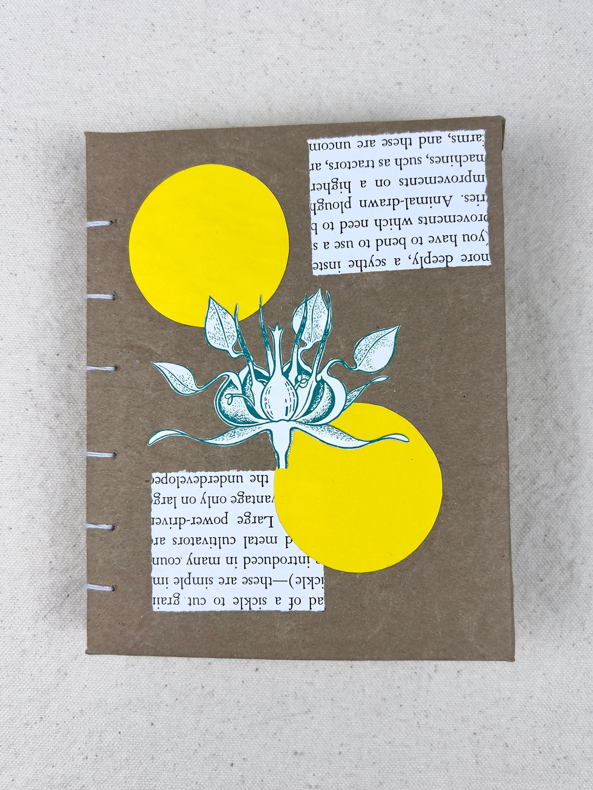 Botany Journal