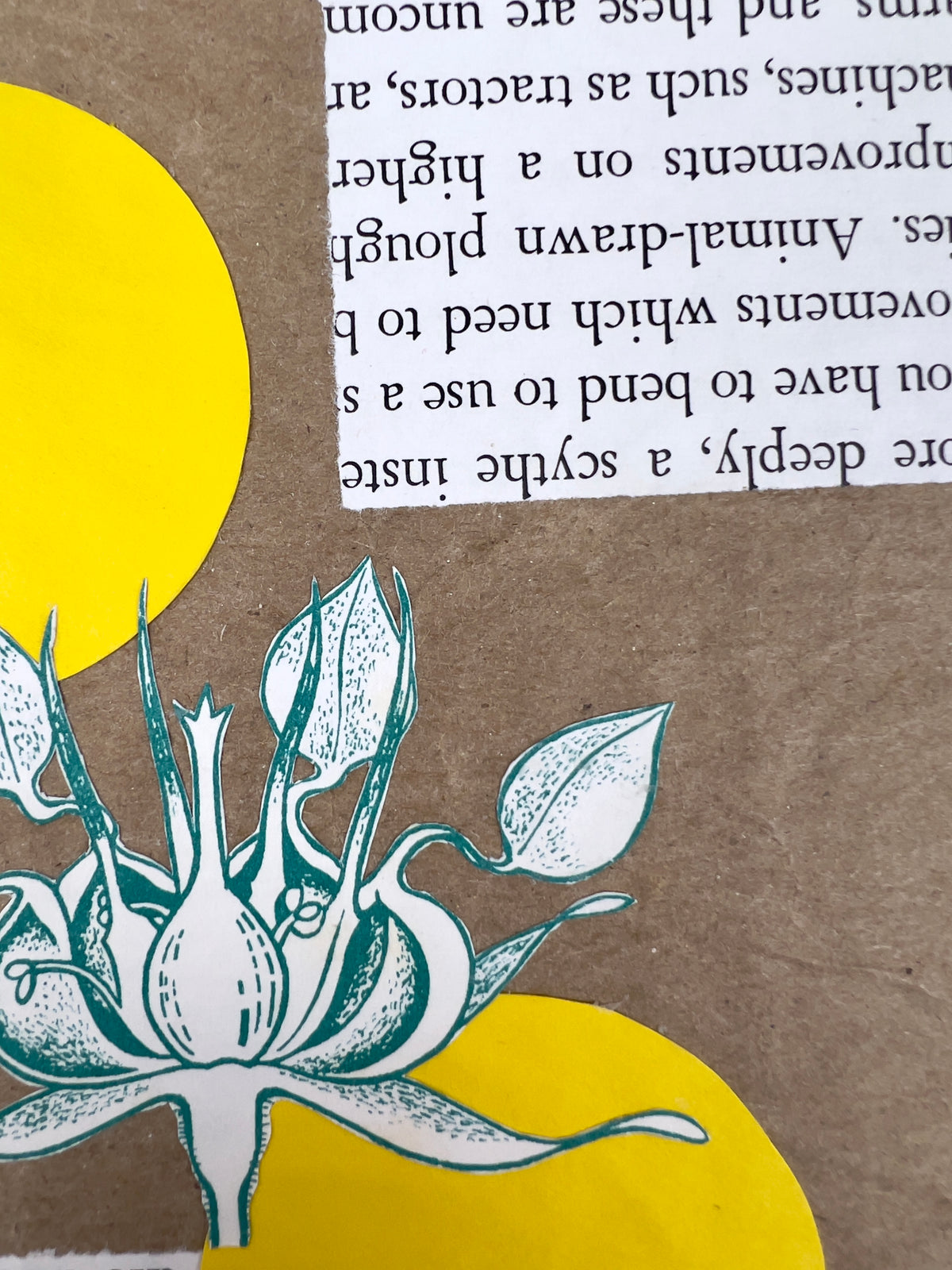 Botany Journal