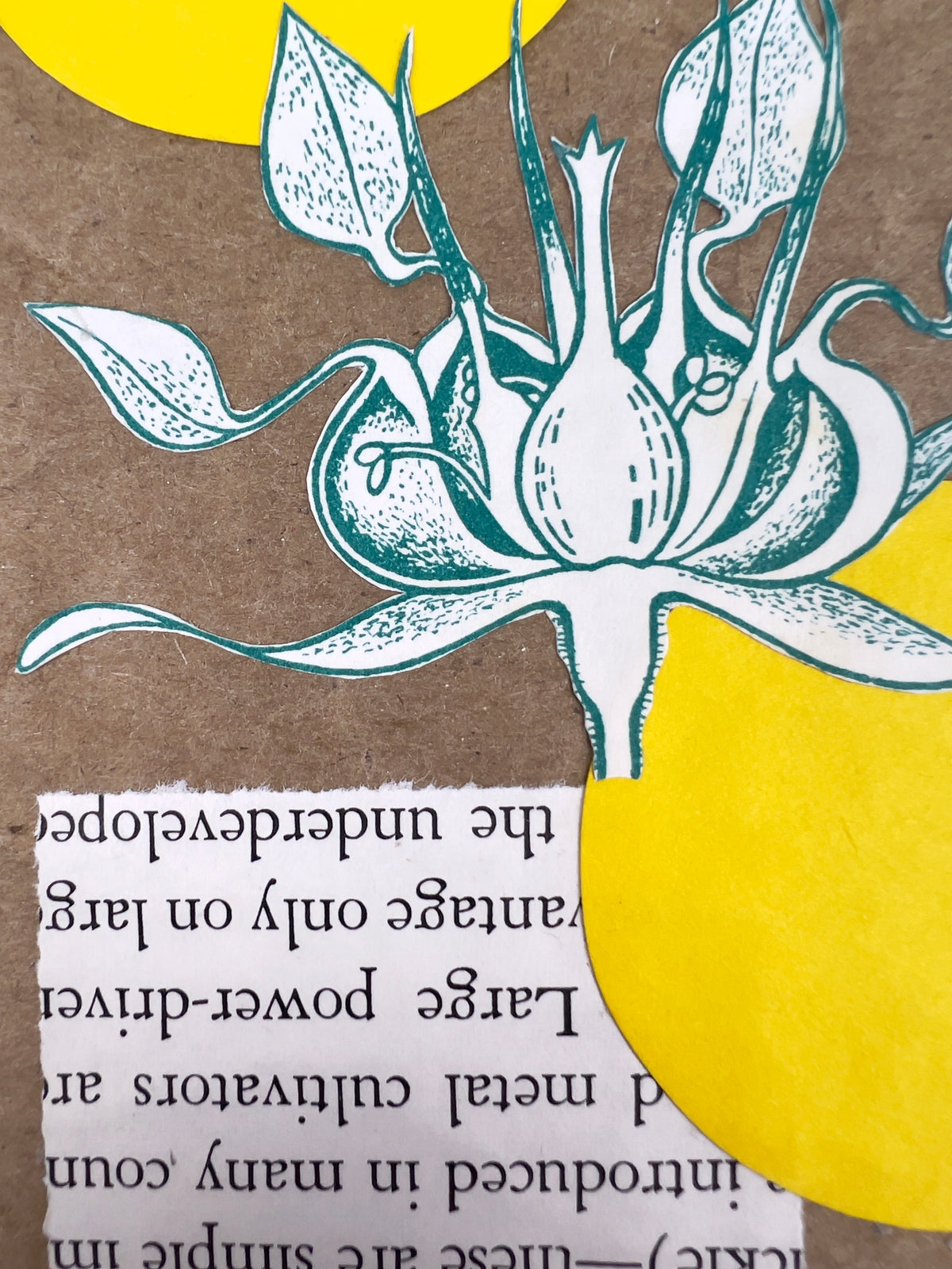 Botany Journal