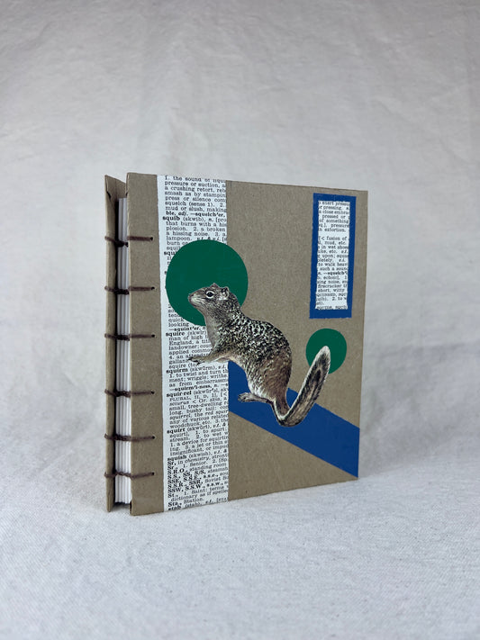 Rock Squirrel Journal