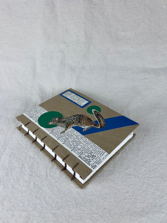 Rock Squirrel Journal