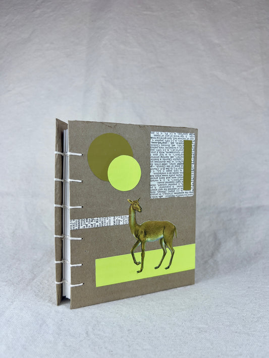 Early Camel Journal