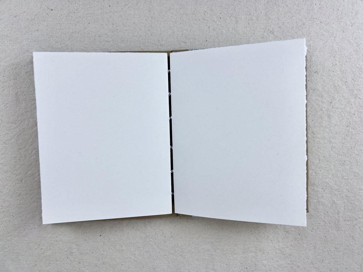 Canis Major Constellation Journal