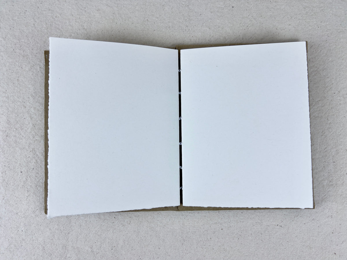 Centaurus and Crux Constellations Journal